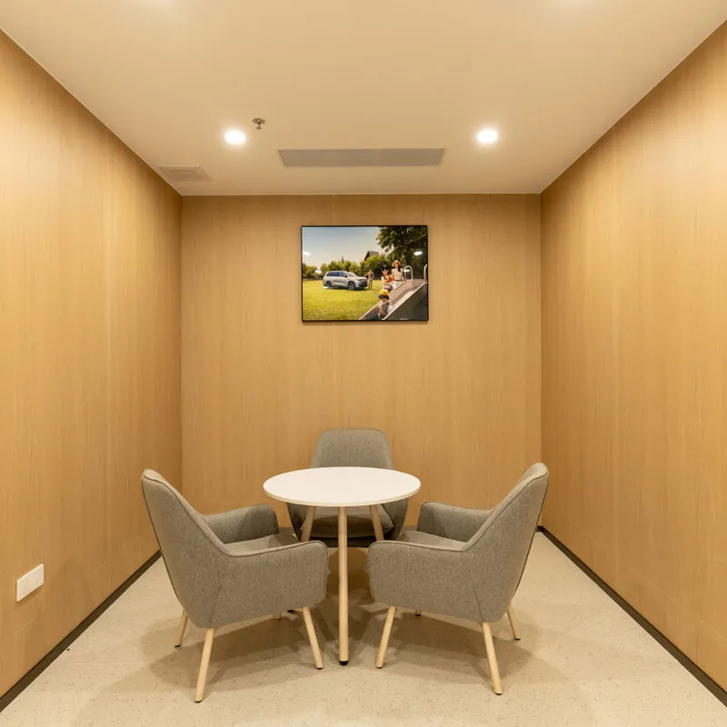 lansen decorative panel for leapmotor in china