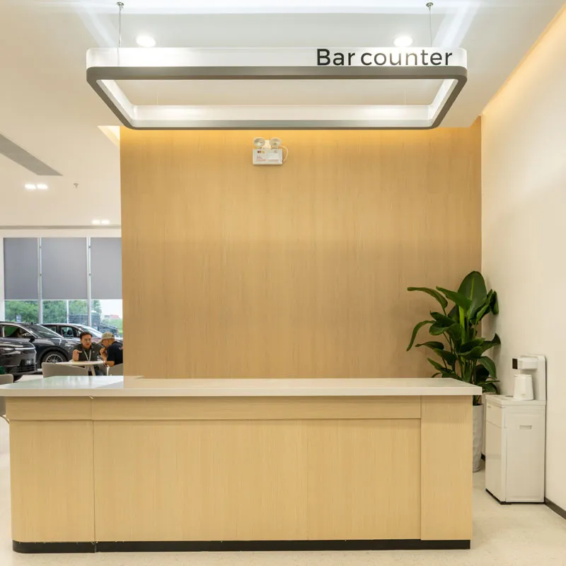 lansen decorative panel for leapmotor odm