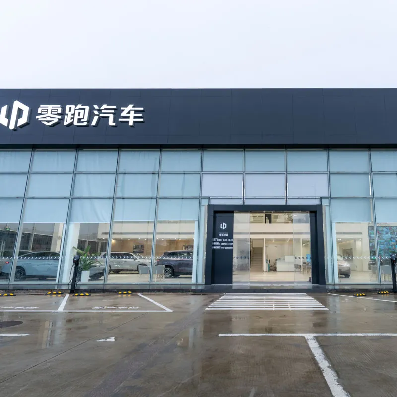 lansen decorative panel for leapmotor quality