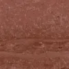 S2348-4