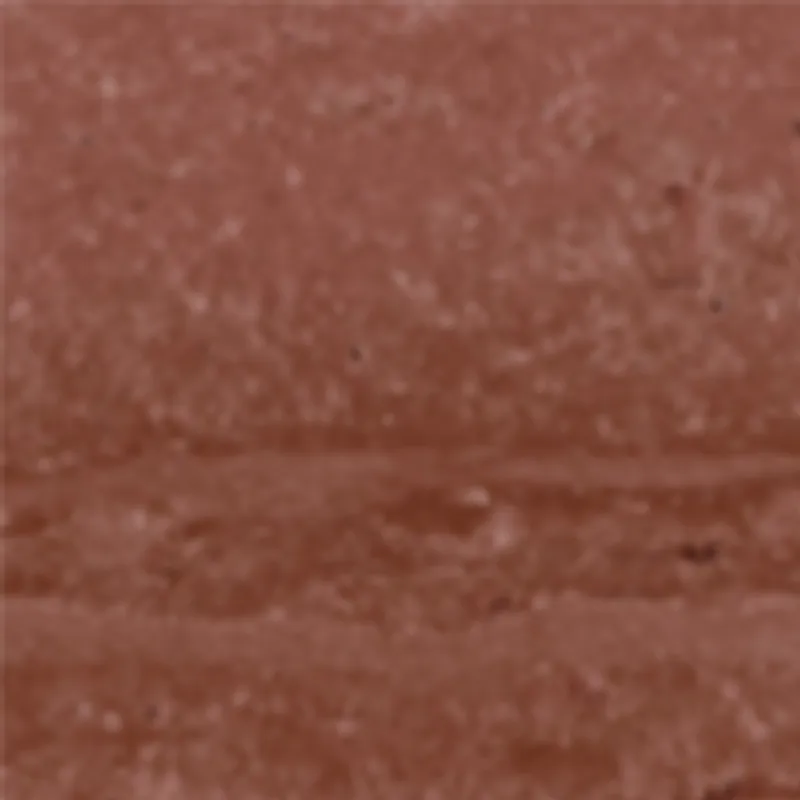 S2348-4